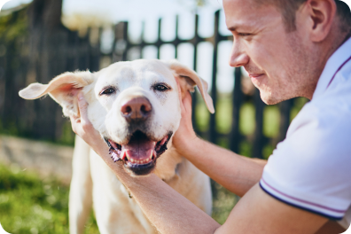 Flea and Tick Prevention for Dogs